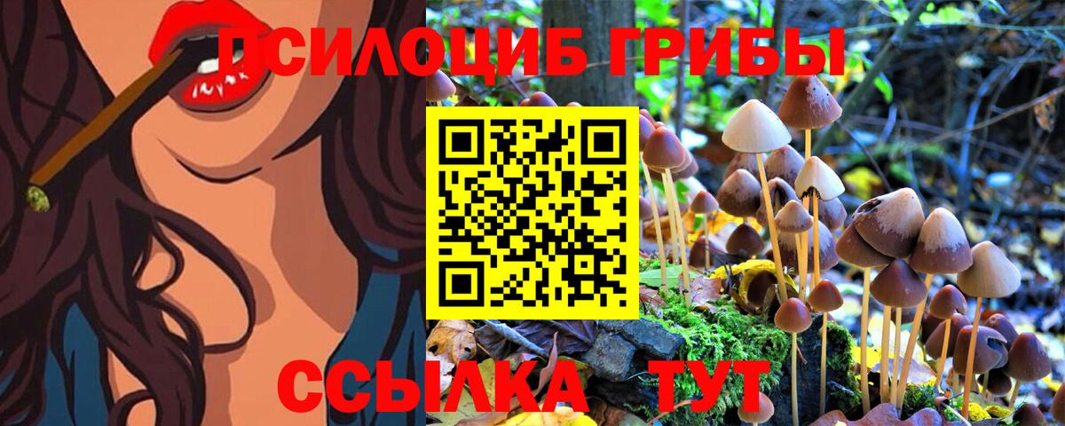 Ревда  магазин продажи   Вход с VPN  Галлюциногенные грибы Magic Shrooms 